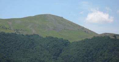 Туристическая достопримечательность — Крымский природный заповедник