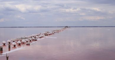 Экскурсия из Евпатории: Розовое озеро Сасык-Сиваш, Лебединое и Грязевое оз фото 9911