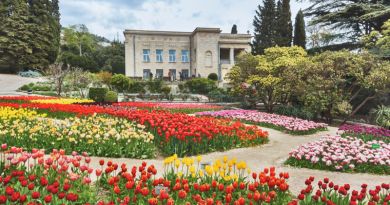 Экскурсия из Евпатории: Никитский ботанический сад + замок Ласточкино гнез фото 9515