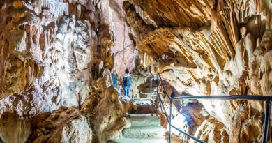 Экскурсии в Скельская пещера из Саки 2024