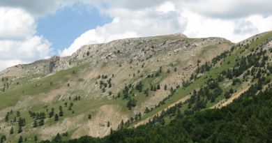 Экскурсия Крымский природный заповедник фото 5840 Экскурсия Крымский природный заповедник фото 5840